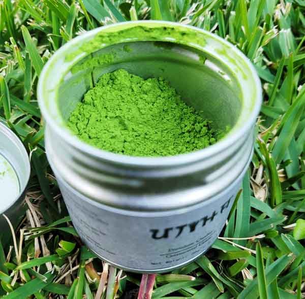 Ujiha-ceremonial-grade-matcha-can-top-of-grass Ujiha ceremonial grade matcha can on top of grass