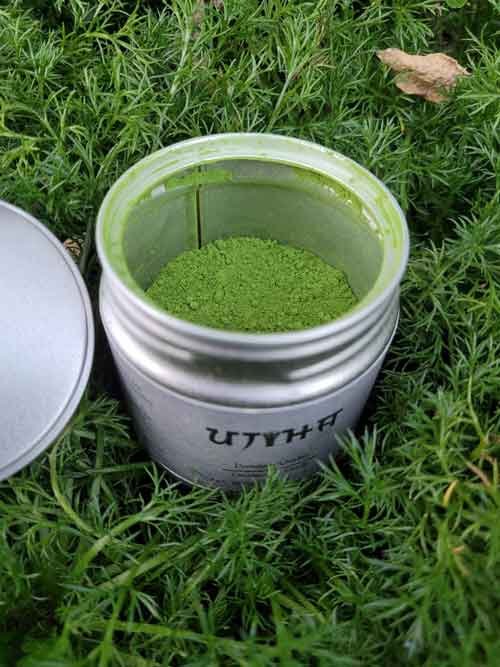 can-of-ujiha-ceremonial-grade-matcha-on-ferns-full can of ujiha ceremonial grade matcha on ferns full