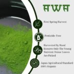 color of ujiha awa ceremonial grade matcha