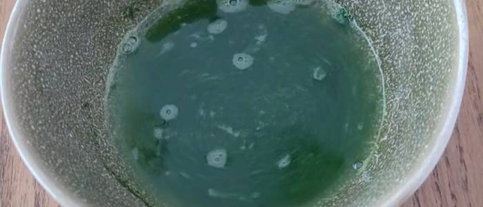 matcha in warm water and antioxidants swirling everywhere